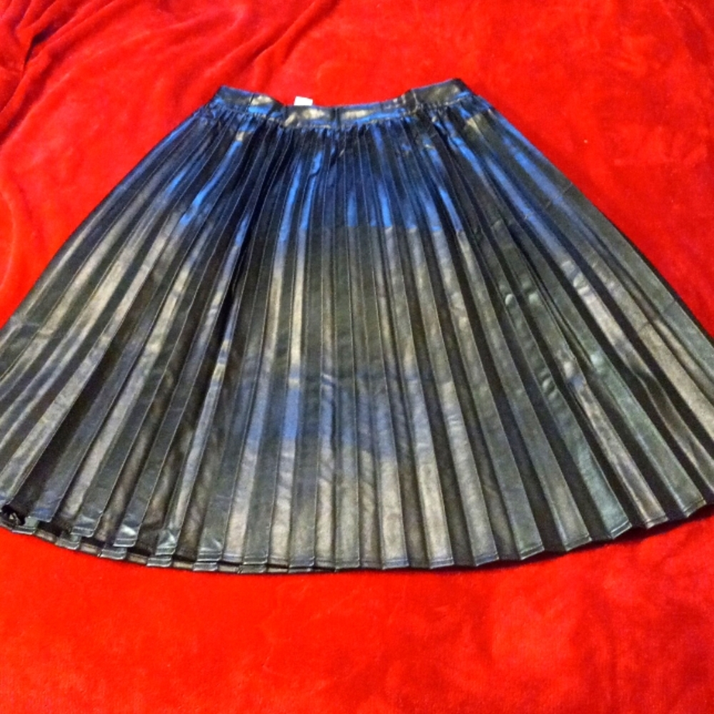 Monteau Black Faux Pleated A-line. Size Small. Faux Black Leather. Amazing!